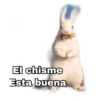 El chisme
Esta buena