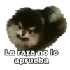 Yeontan 24