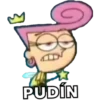 PUDİN