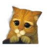 Gato con Botas 13