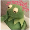 Kermit the Frog (pics) 26