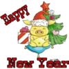 Cute Pig 18