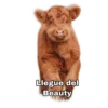 Llegue del
Beauty