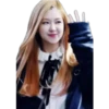 Black Pink Band 26