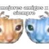 mejores amigos x
siempre