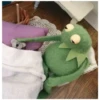 Kermit the Frog (pics) 28