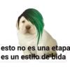 lomitos bonitos 15