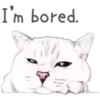 Cat Talk 20