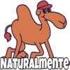 Los cuentos de la calle Broca 2 16