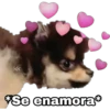 Yeontan 27