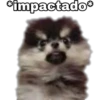Yeontan 28