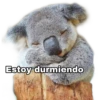 Estoy durmiendo