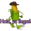 Hola, ya llegué