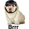 Perrito 5