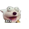 31 minutos 7