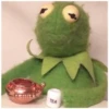 Kermit the Frog (pics) 2 5