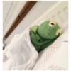 Kermit the Frog (pics) 2 6