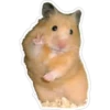 Hamster Feliz 6