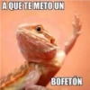 A QUE TE METO UN
BOFETÓN