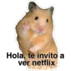 Hola, te invito a
ver netflix