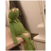 Kermit the Frog (pics) 2 7