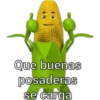 Que buenas posaderas se carga