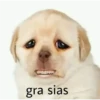 Perrito 7