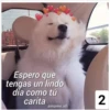 Espero que
tengas un lindo
día como tú
carita
amame.xfi
2