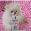 Perritos Con Corazones 5