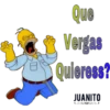 Que
Vergas
Quieress?
JUANITO