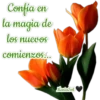 Confia en
la magia de
los nuevos
comienzos..
MaiaSel