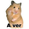 A ver