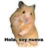 Hola, soy nueva