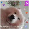 6
amame.xfi
Lo que te hace muy especial
para mi