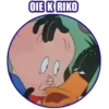 OIE K RIKO