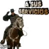 La leyenda del Zorro 14