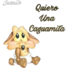 Coyote (canis latrans) 8