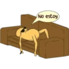 No estoy