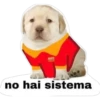 Perrito 8