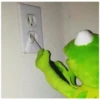Kermit the Frog (pics) 2 10