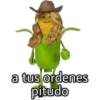 a tus ordenes pitudo