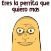 Eres la perrita que
quiero mas
