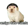 LUCHO 10