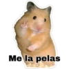Me la pelas