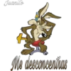 Coyote (canis latrans) 12
