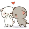 Gatos enamorados 5