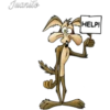 Coyote (canis latrans) 14