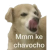 Mmm ke
chavocho