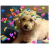 Perritos Con Corazones 8