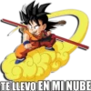 DRAGÓN BALL I 7